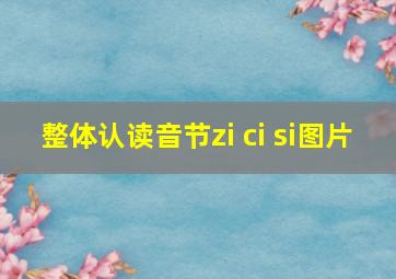 整体认读音节zi ci si图片